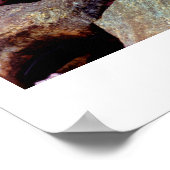 Herfstbladeren in een zwembad Poster (Hoek)