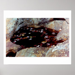 Herfstbladeren in een zwembad Poster