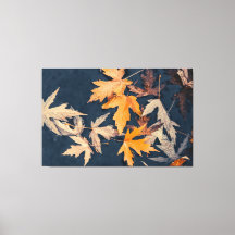 Herfstbladeren in het water