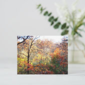 Herfstbladeren in Missouri Briefkaart (Staand voorkant)