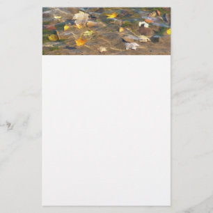 Herfstbladeren in vijverwater Natuurfotografie Briefpapier