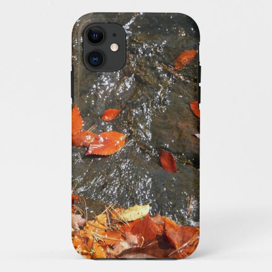 Herfstbladeren in Waterval I Herfst Fotografie Case-Mate iPhone Case (Achterkant)