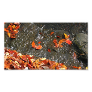 Herfstbladeren in Waterval I Herfst Fotografie Foto Afdruk