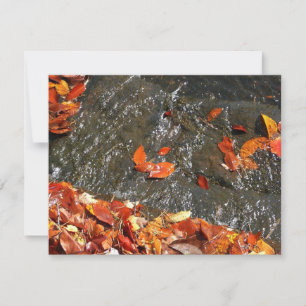 Herfstbladeren in Waterval I Herfst Fotografie Notitiekaartje