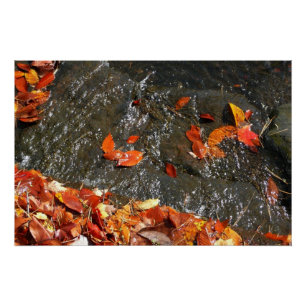 Herfstbladeren in Waterval I Herfst Fotografie Perfect Poster