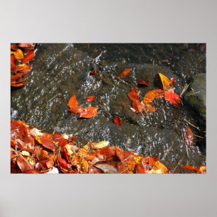 Herfstbladeren in Waterval I Herfst Fotografie Poster