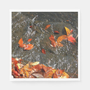 Herfstbladeren in Waterval I Herfst Fotografie Servet