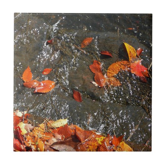 Herfstbladeren in Waterval I Herfst Fotografie Tegeltje (Voorkant)
