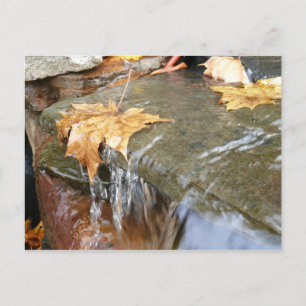 Herfstbladeren in Waterval II Herfstfotografie Briefkaart