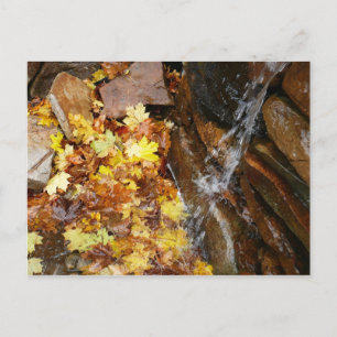 Herfstbladeren in Waterval III Herfst Natuur Briefkaart