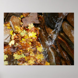 Herfstbladeren in Waterval III Herfst Natuur Poster