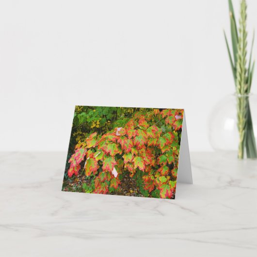 Herfstbladeren Kaart (Voorkant)