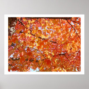Herfstbladeren kunstprints Herenkunst prints op ca