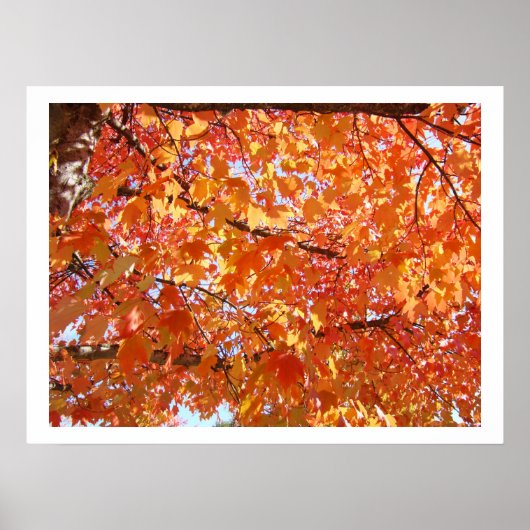 Herfstbladeren kunstprints Herenkunst prints op ca (Voorkant)