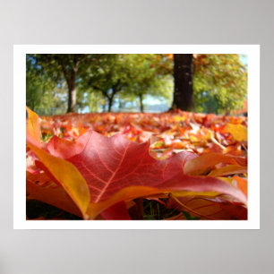 Herfstbladeren kunstprints Hout natuur op maat Poster