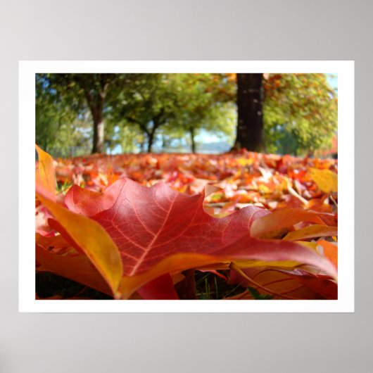 Herfstbladeren kunstprints Hout natuur op maat Poster (Voorkant)