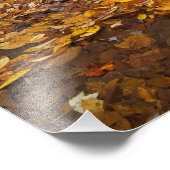 Herfstbladeren langs Looking Glass Creek in de Foto Afdruk (Hoek)