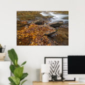 Herfstbladeren langs Looking Glass Creek in de Poster (Thuiskantoor)