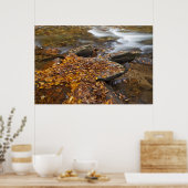 Herfstbladeren langs Looking Glass Creek in de Poster (Keuken)