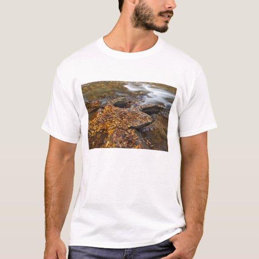 Herfstbladeren langs Looking Glass Creek in de T-shirt (Voorkant)