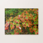Herfstbladeren Legpuzzel (Horizontaal)
