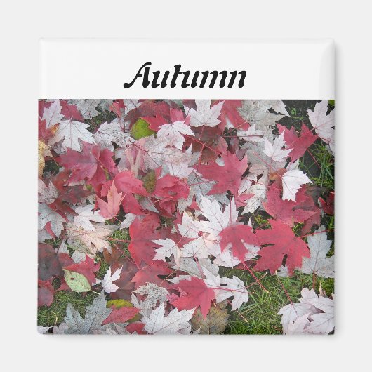 Herfstbladeren Magneet (Voorkant)