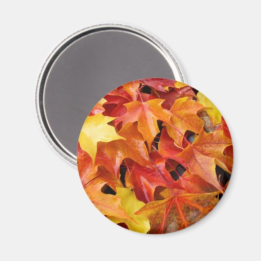 Herfstbladeren magneten Kleurrijke Herfst boomblad (Voorkant / Achterkant)