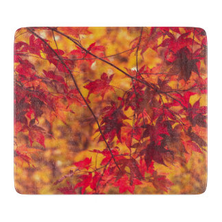 Herfstbladeren Natuur Snijplank