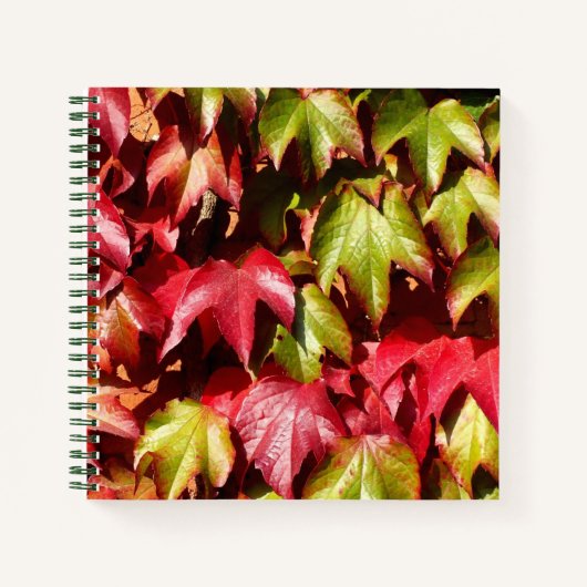 Herfstbladeren Notitieboek (Voorkant)