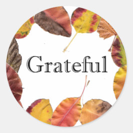 Herfstbladeren omringen dankbare typografie ronde sticker