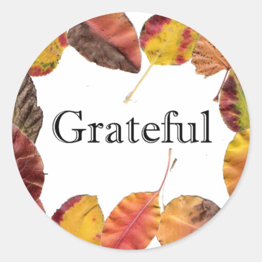 Herfstbladeren omringen dankbare typografie ronde sticker (Voorkant)