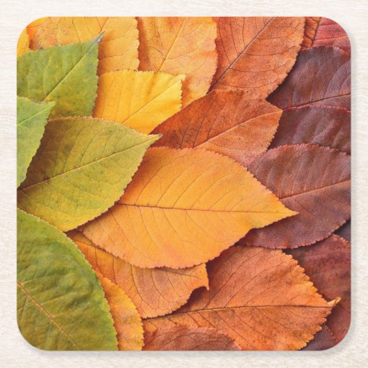 Herfstbladeren Onderzetters: de aanraking van de N Kartonnen Onderzetters (Voorkant)