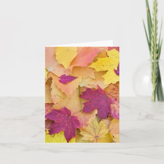 Herfstbladeren Ontwerp Kaart (Voorkant)