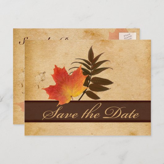 Herfstbladeren op oud papier Bewaar de datum Kaart (Voorkant / Achterkant)