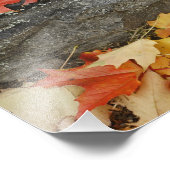 Herfstbladeren op stenen muur, Minute Man Foto Afdruk (Hoek)