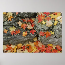 Herfstbladeren op stenen muur, Minute Man Poster