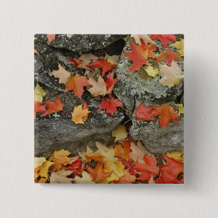 Herfstbladeren op stenen muur, Minute Man Vierkante Button 5,1 Cm