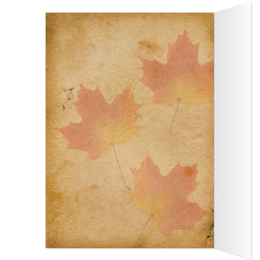 Herfstbladeren op verouderd papieren tafelnummer K (Binnen (Links))