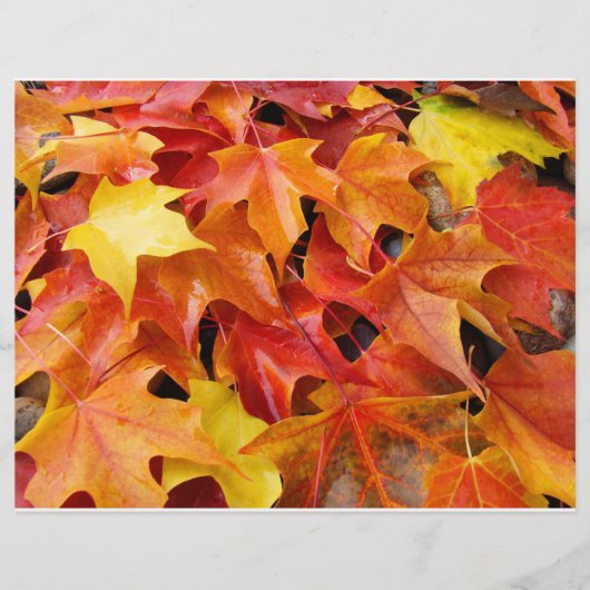Herfstbladeren Oranje Geel Rood Flyer Papier (Voorkant)