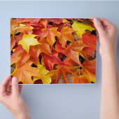 Herfstbladeren Oranje Geel Rood Flyer Papier (Hand)