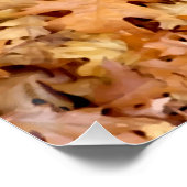 HERFSTBLADEREN PERFECT POSTER (Hoek)