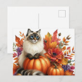 Herfstbladeren pompoenen en Ragdoll Cat Briefkaart (Voorkant / Achterkant)