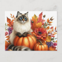 Herfstbladeren Pompoenen en Ragdoll Kat Ansichtkaa