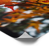 Herfstbladeren Poster (Hoek)