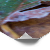 Herfstbladeren Poster papier (mat) (Hoek)