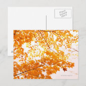 Herfstbladeren reflectie briefkaart (Voorkant / Achterkant)