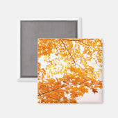 Herfstbladeren reflectie magneet (Voorkant / Achterkant)