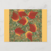 Herfstbladeren Rode esdoorn Abstract op gras Briefkaart (Voorkant)