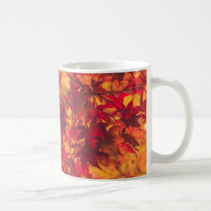 Herfstbladeren Rood en Oranje Natuur Koffiemok