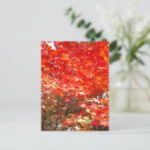 Herfstbladeren, Sapporo Briefkaart (Staand voorkant)